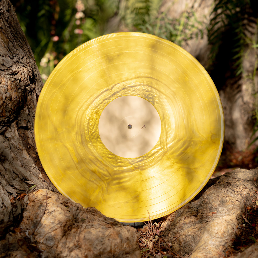 Banjo and Kazooie Vinyl Soundtrack 2xLP Reissue