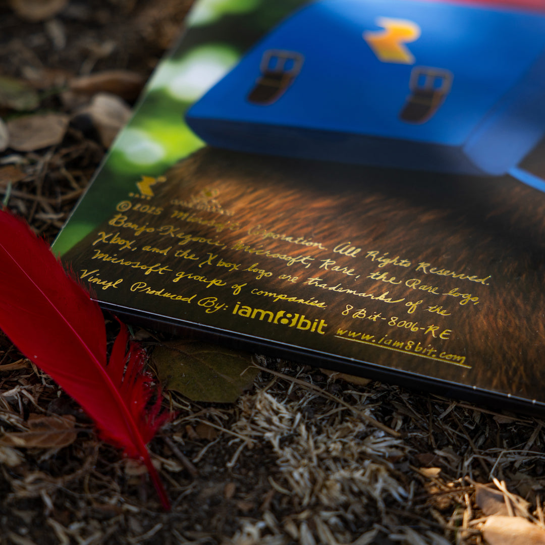 Banjo and Kazooie Vinyl Soundtrack 2xLP Reissue