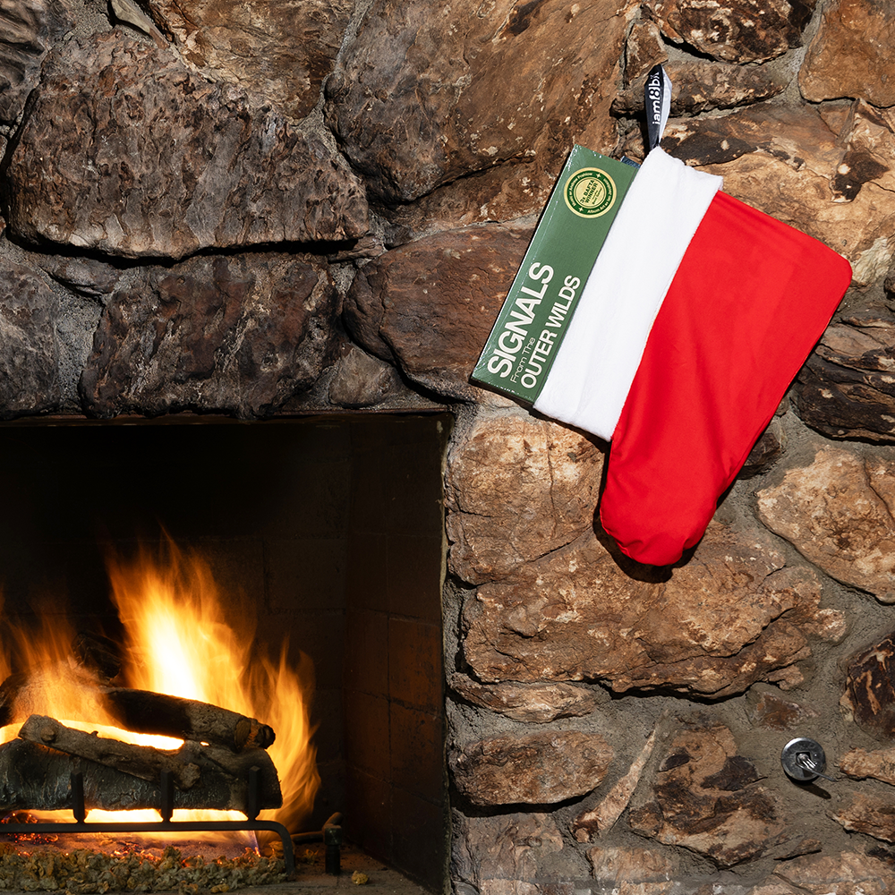 Vinyl Record Stocking (Red)