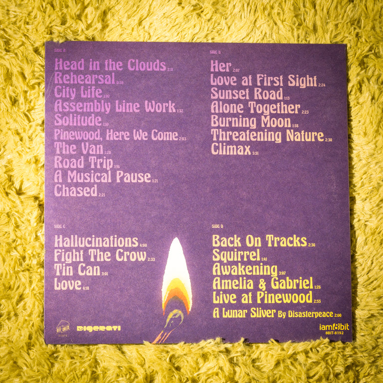 A Musical Story 2xLP (Back)