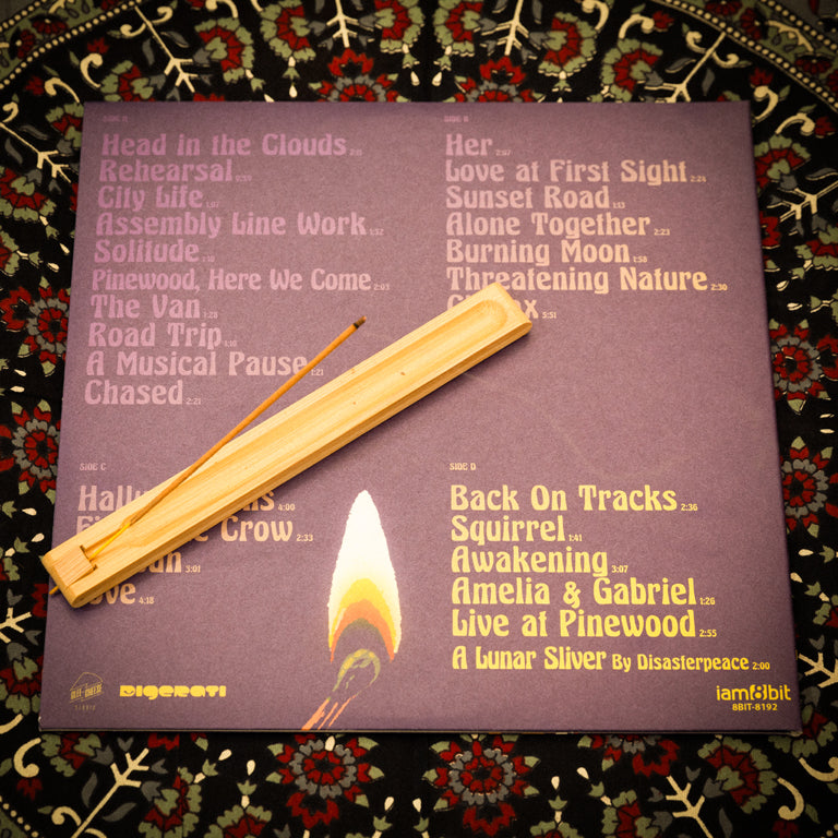 A Musical Story 2xLP (Back)