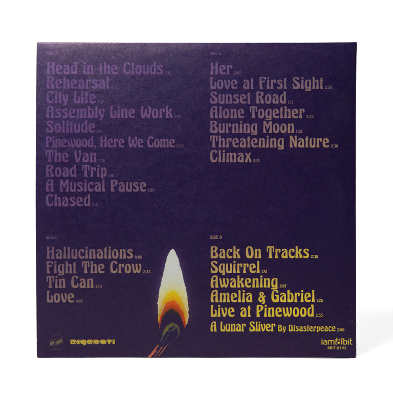 A Musical Story 2xLP (Back)