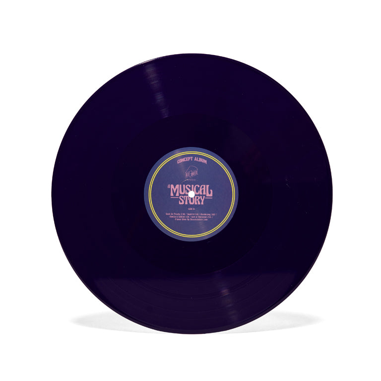 A Musical Story 2xLP Disc C/D Side D