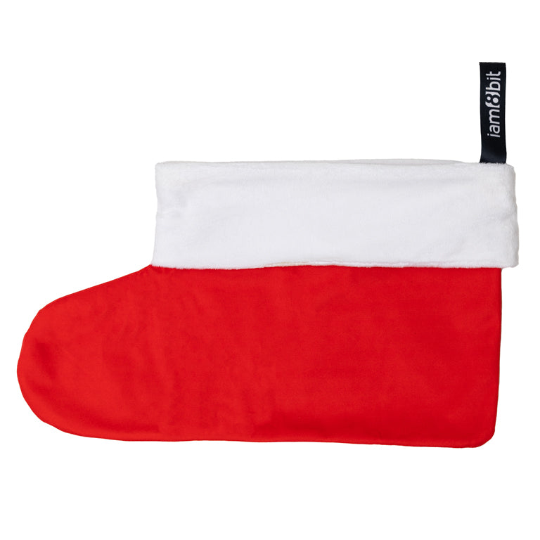 Vinyl Record Stocking (Red)