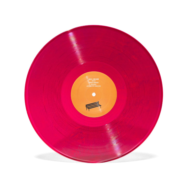 Simpler Times 2xLP Disc