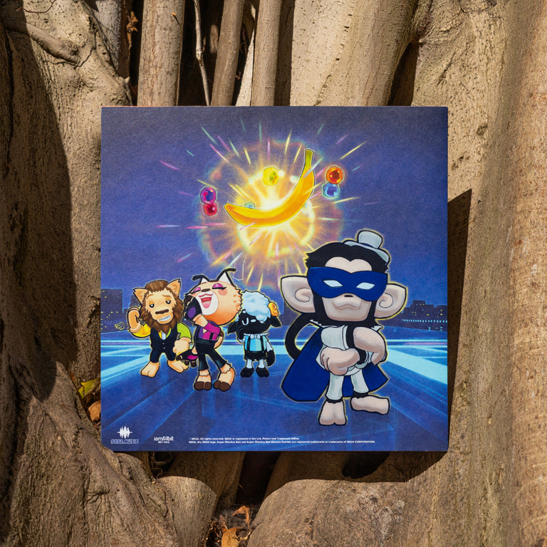 Super Monkey Ball Banana Rumble Vinyl Back of Jacket