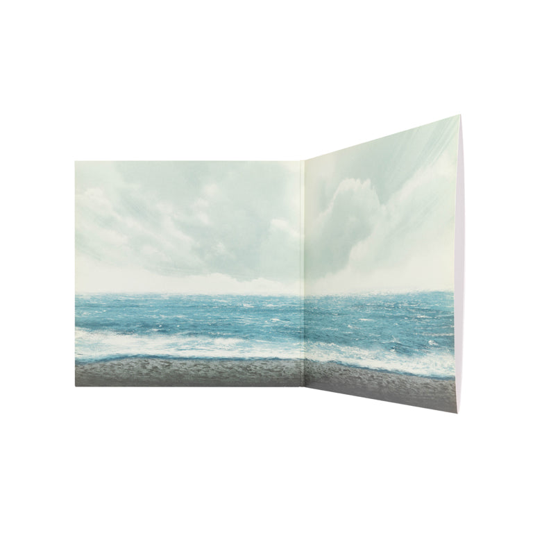 Swiss Army Man Collector's Edition Vinyl Inside Gatefold Jacket