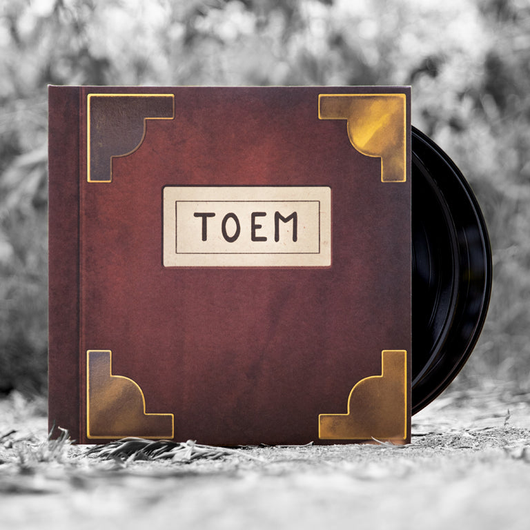 Toem 2xLP with discs
