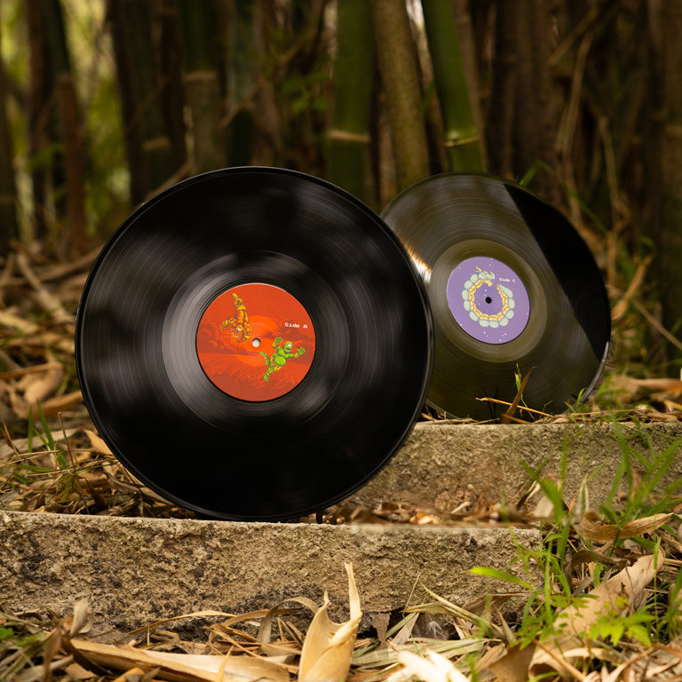 The Messenger 2xLP Reissue Discs