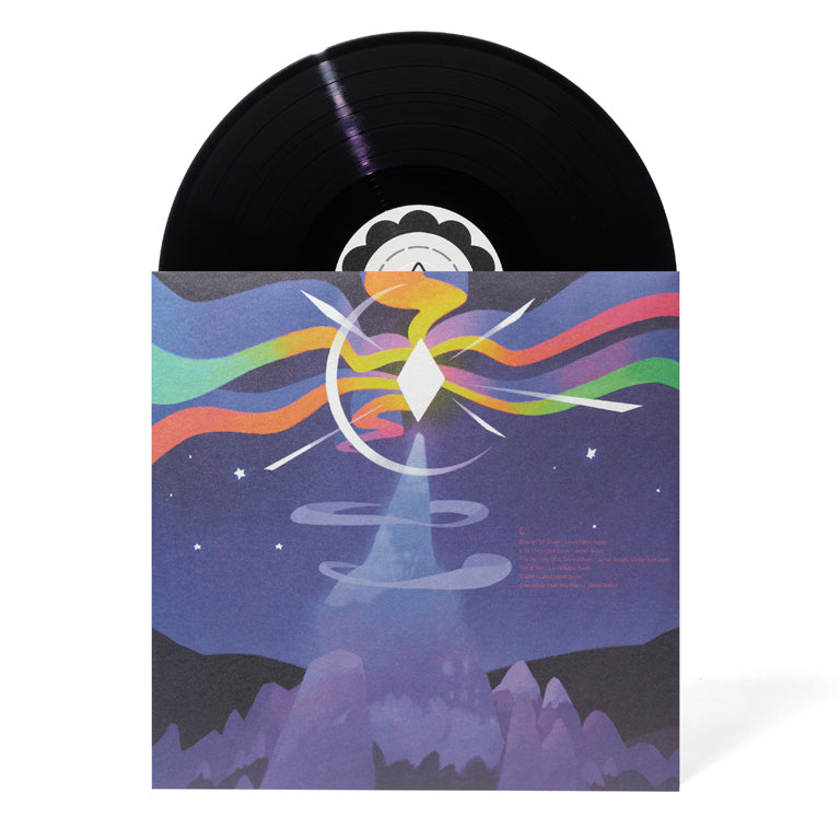 Toem 2xLP Disc and Sleeve