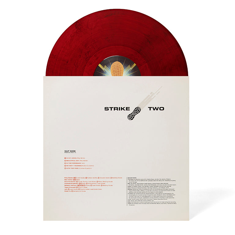 Blaseball: DISCIPLINE 2xLP Vinyl Soundtrack (Music by "the garages")