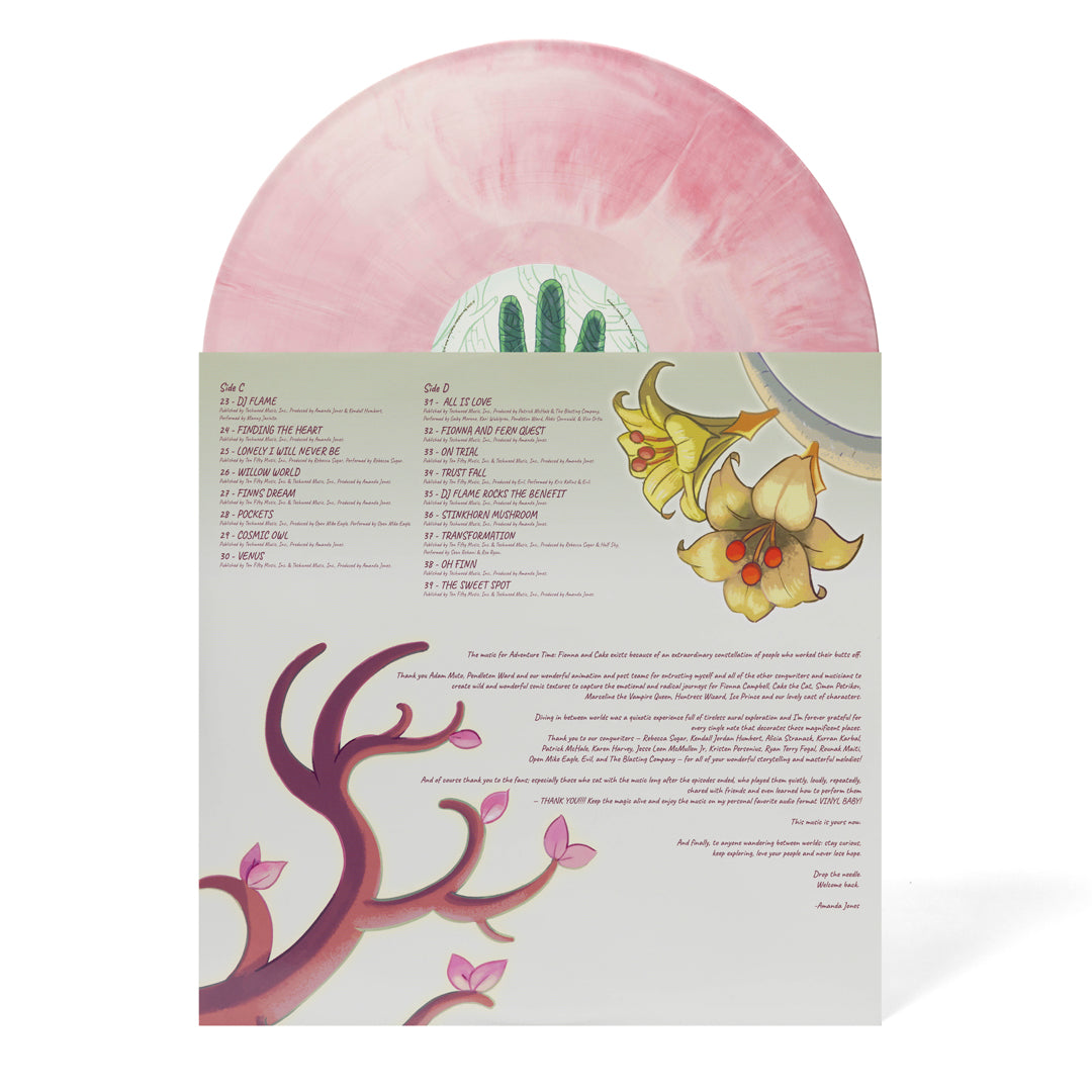 Adventure Time: Fionna and Cake Soundtrack from the Animated Series 2xLP