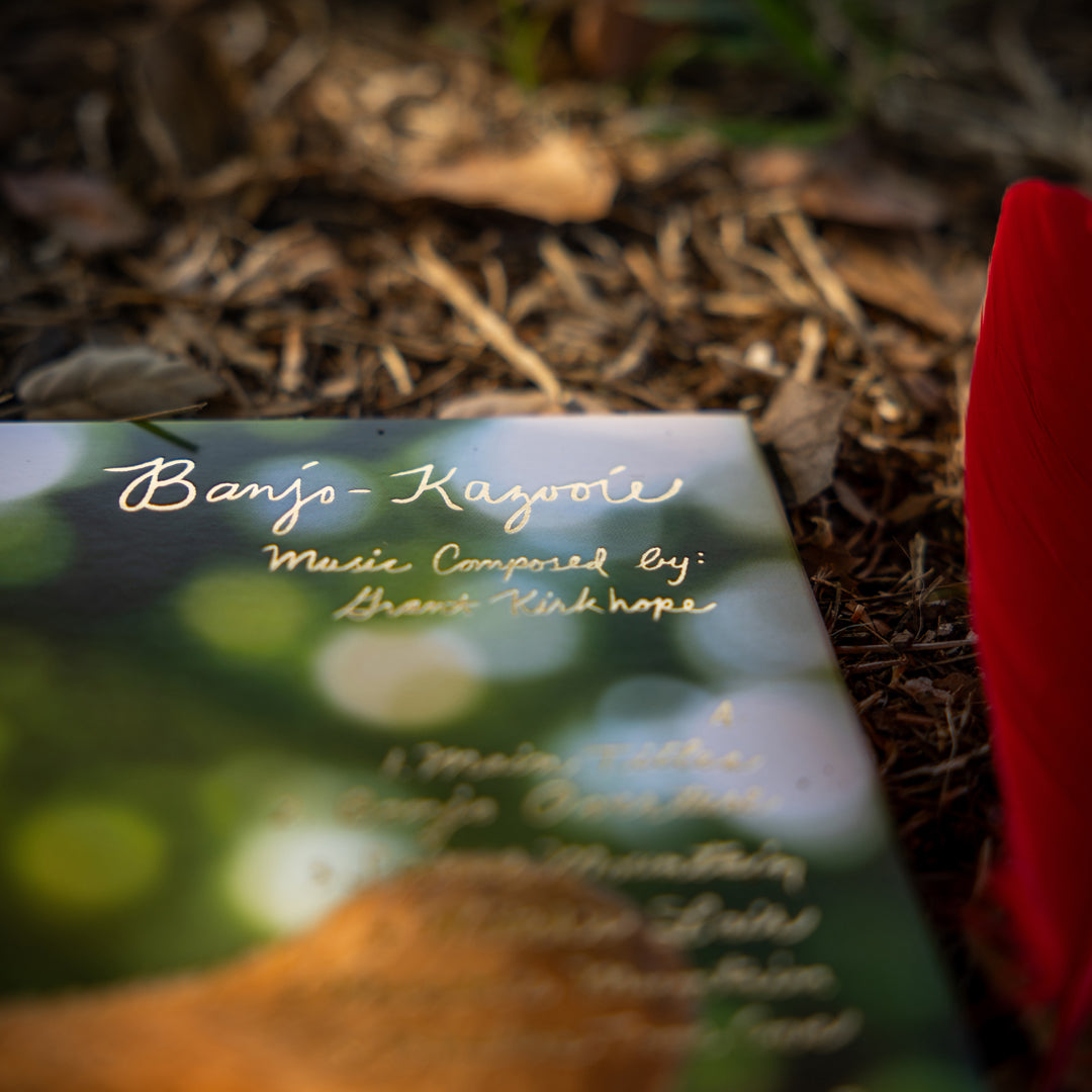 Banjo and Kazooie Vinyl Soundtrack 2xLP Reissue