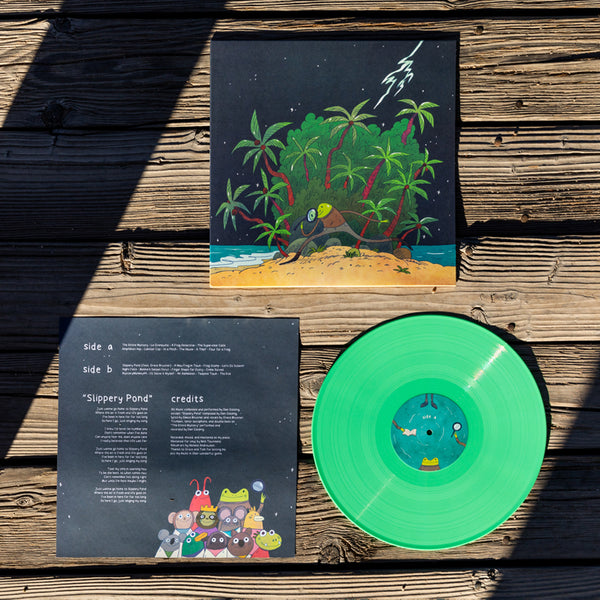 FrogDetective_Vinyl_Lifestyle_