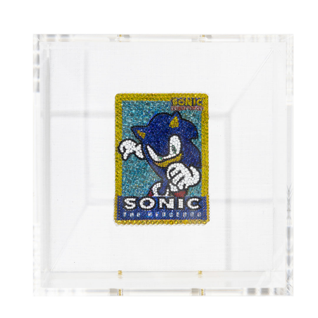 Kim Bloomberg - Sonic (Original Art Piece)