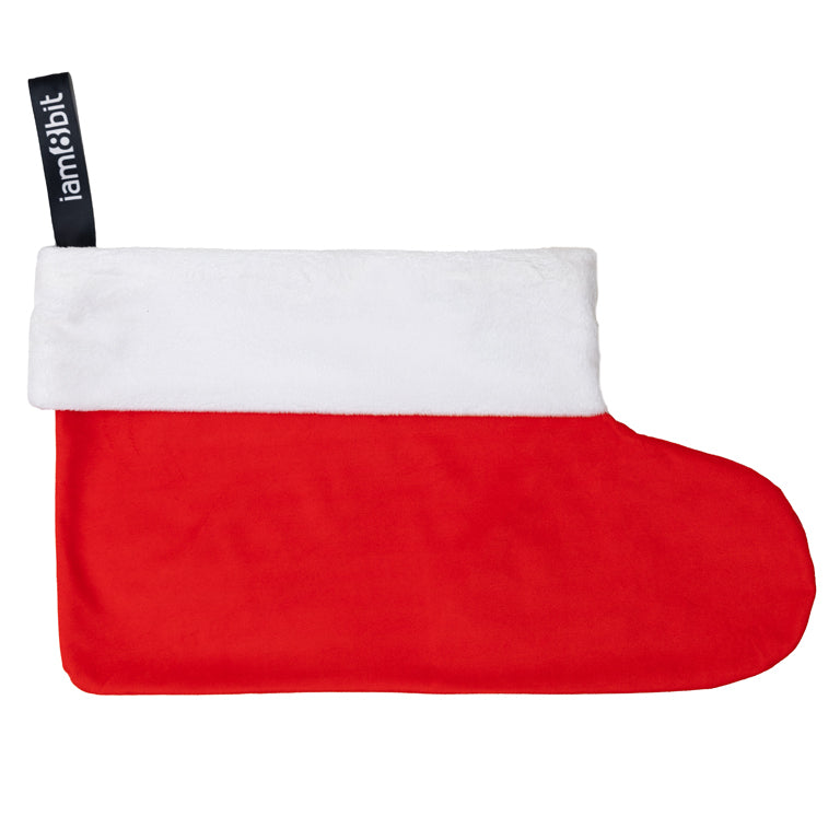 Vinyl Record Stocking (Red)