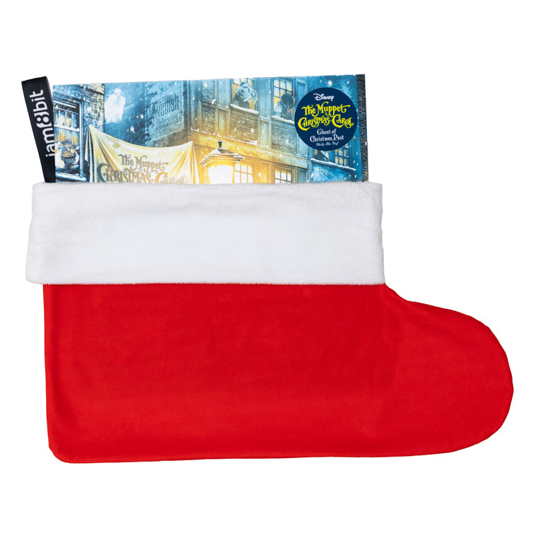Vinyl Record Stocking (Red)