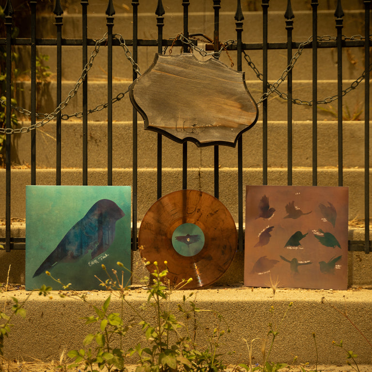 What Remains of Edith Finch Vinyl Soundtrack with Disc and Sleeve