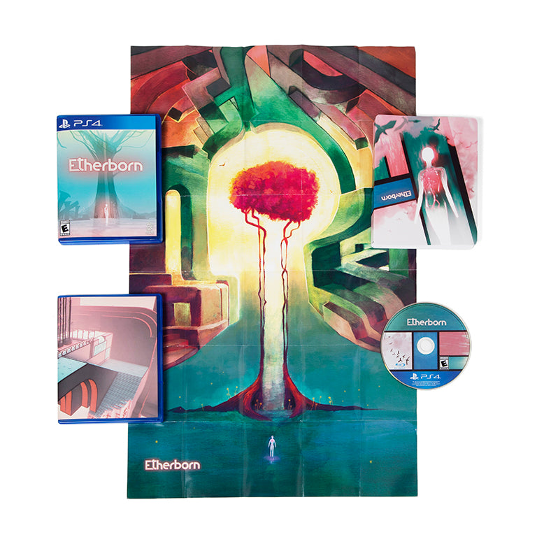 Etherborn (Playstation 4 Physical Edition)
