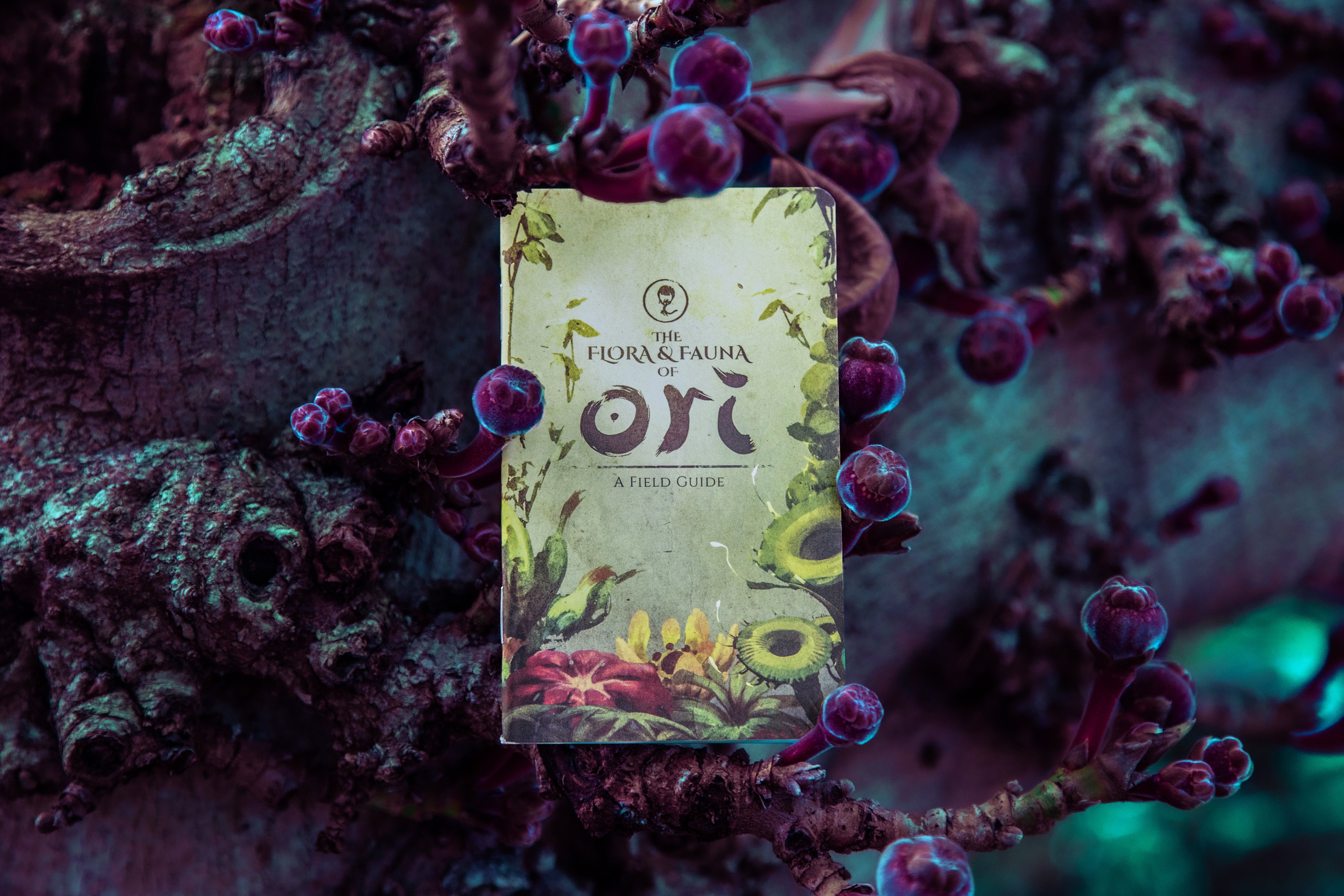 Ori Collector's Edition