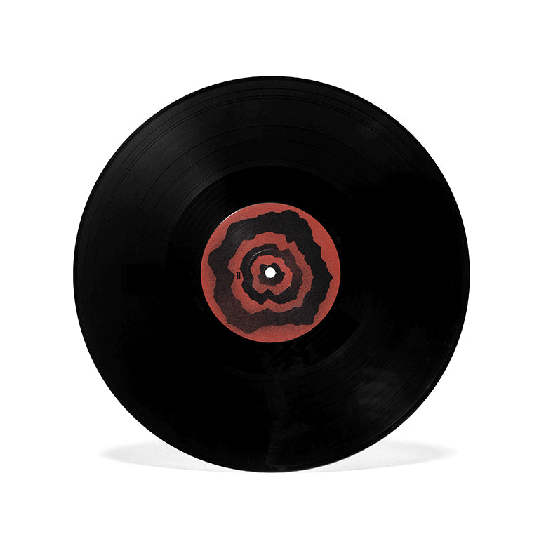 Persona 4 Vinyl Collection Disc