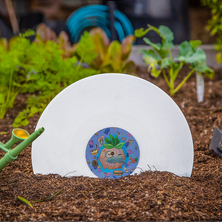 Turnip Boy Commits Tax Evasion Vinyl Soundtrack