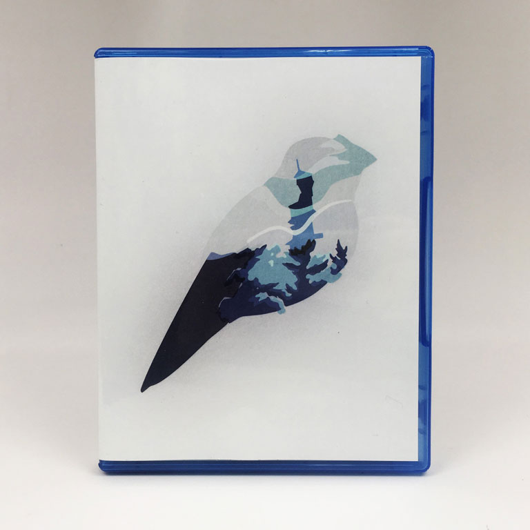 What Remains of Edith Finch PS4 Physical Edition